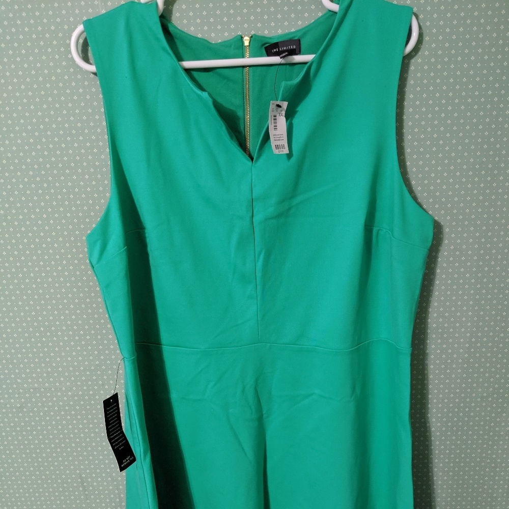 The Limited Mint Dress